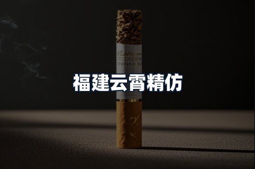 福建云霄精仿